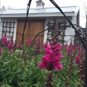 Meet your Posher, Joann